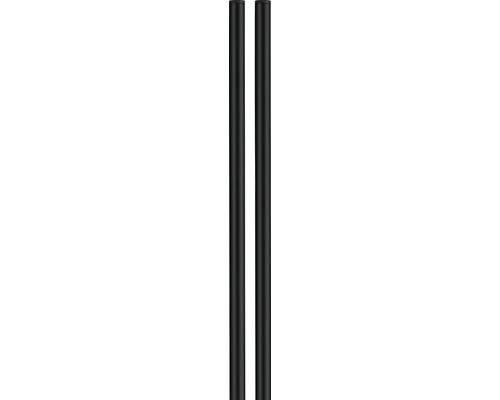 Burg Wächter brievenbusstandaard, verzinkt staal, H 1500 mm, universeel, 150, zwart