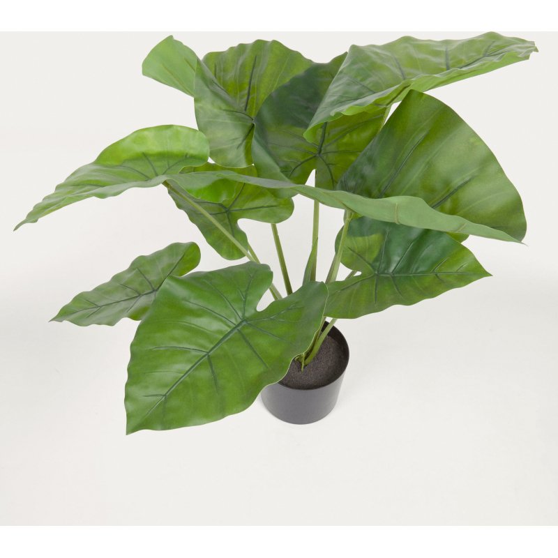 Plante artificielle Alocasia Odora avec pot noir 57 cm