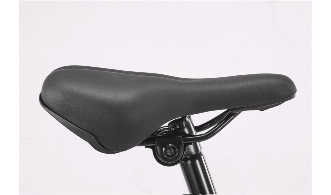 Pigecykel 20