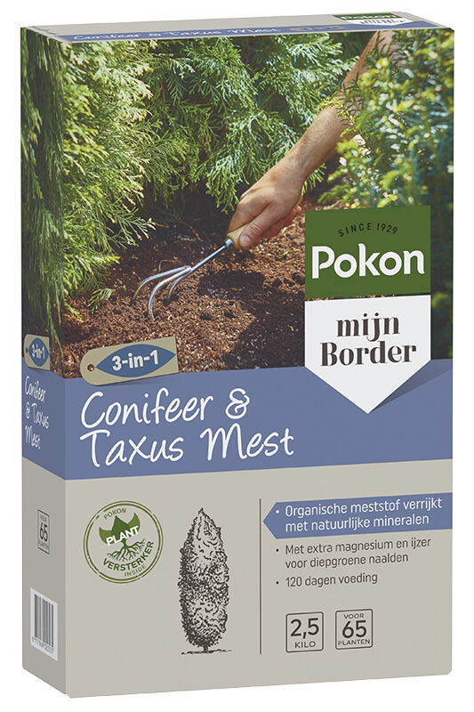 Pokon Conifeer & Taxusvoeding - Siertuinmeststof - 2.5 Kilogram
