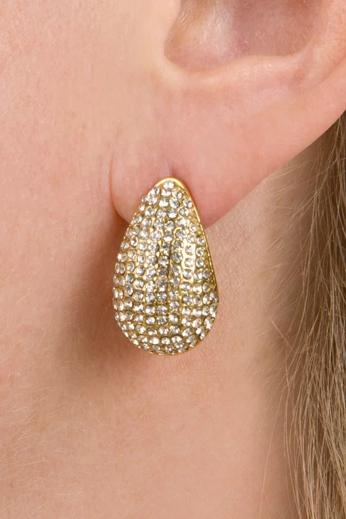 Day&Eve by Go Dutch Label Haily rhinestones drop shaped oorbellen in goud