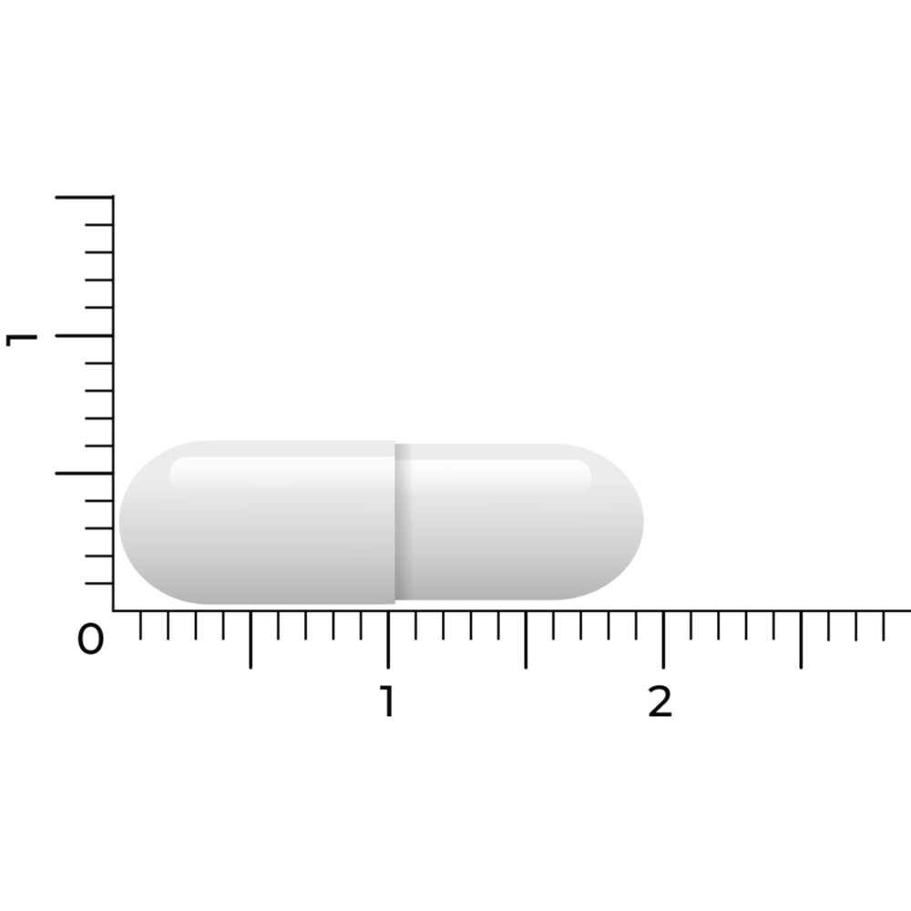 Vitakruid Lactase Optiferm 3000 Fcc90 capsules