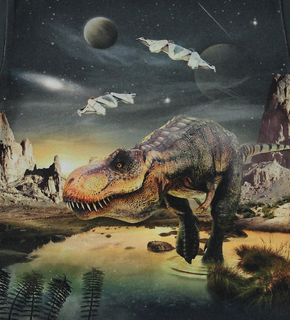 Molo Bluse - Riley - T-Rex Planet