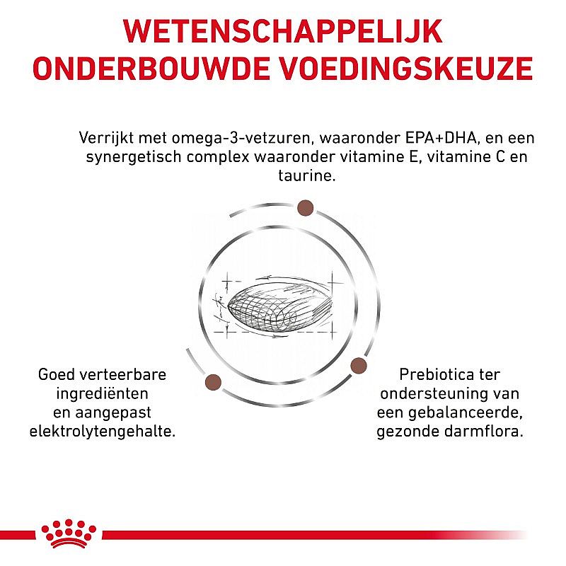 Royal Canin Gastrointestinal Low Fat Small Dog | 8 kg | 13465.2