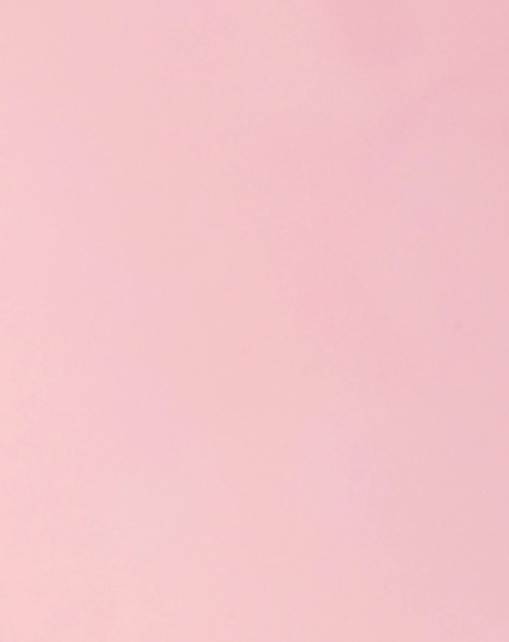 Melamin-Teller SIDE in ballet slippers pink