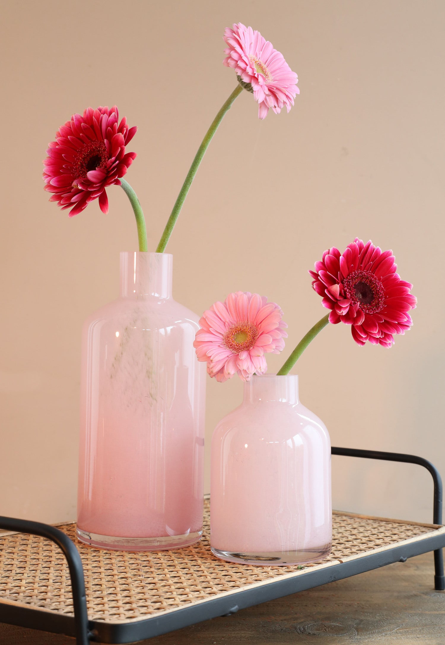 Vaas Lupin roze D 10 H 15 cm