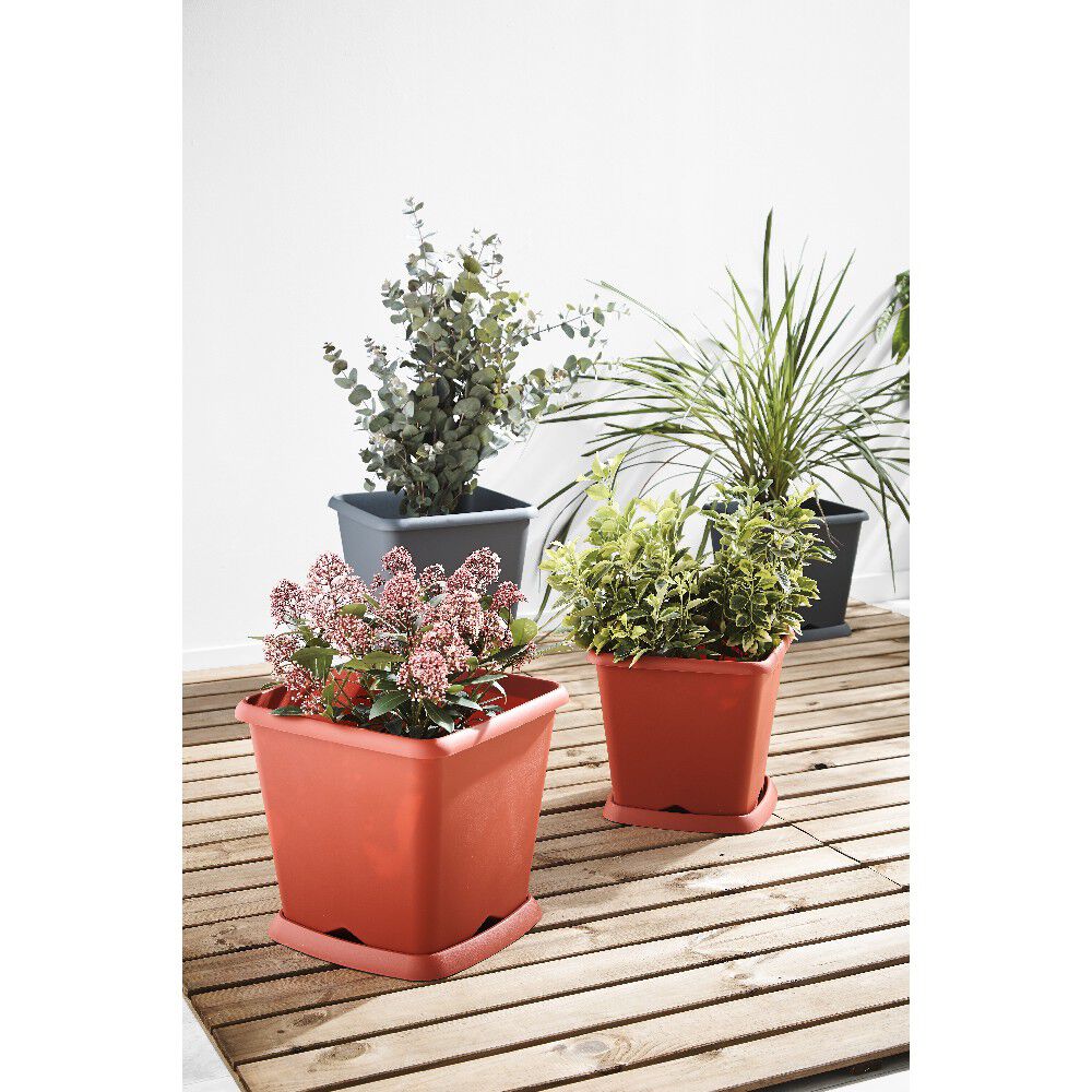 Soucoupe carrée pour pot Chorus 15,2 L rouge
