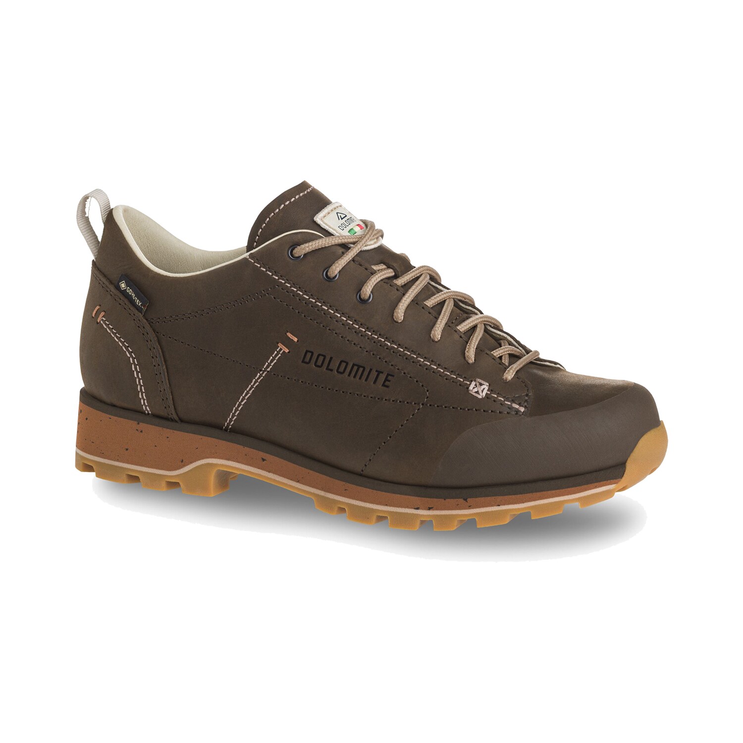 Dolomite 54 Low FG Evo GTX Damen Wanderschuhe