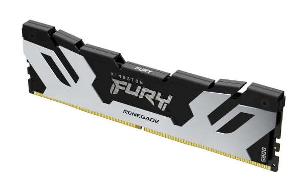 Kingston FURY Renegade - DDR5 - modul - 48 GB - DIMM 288-PIN - 6000 MT/s / PC5-48000 - CL32 - 1.35 V - ikke bufferet - on-die ECC - sølv/sort