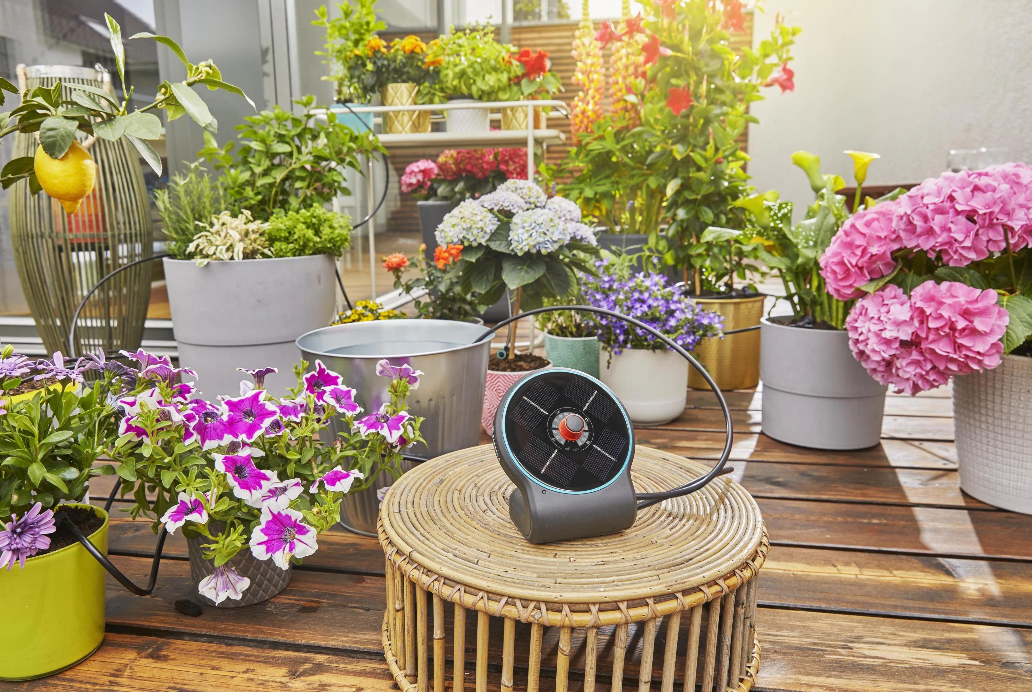 Gardena AquaBloom solcelledrevet vandingssæt