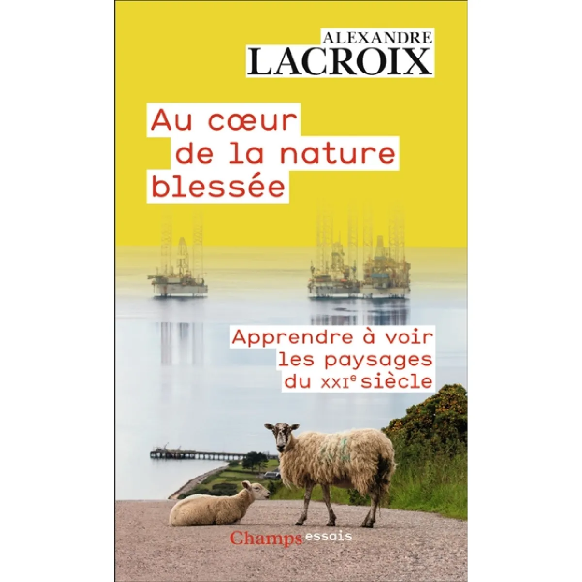 Au coeur de la nature blessée : apprendre à voir les paysages du XXIe siècle : essai
