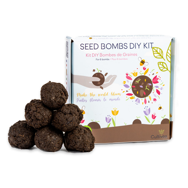 Cultivea diy bombes de graines semis de fleurs à planter pour abeilles