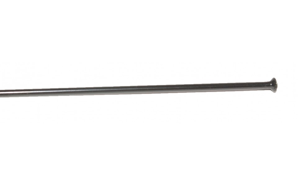DT Swiss Competition Eger Straight Pull sort