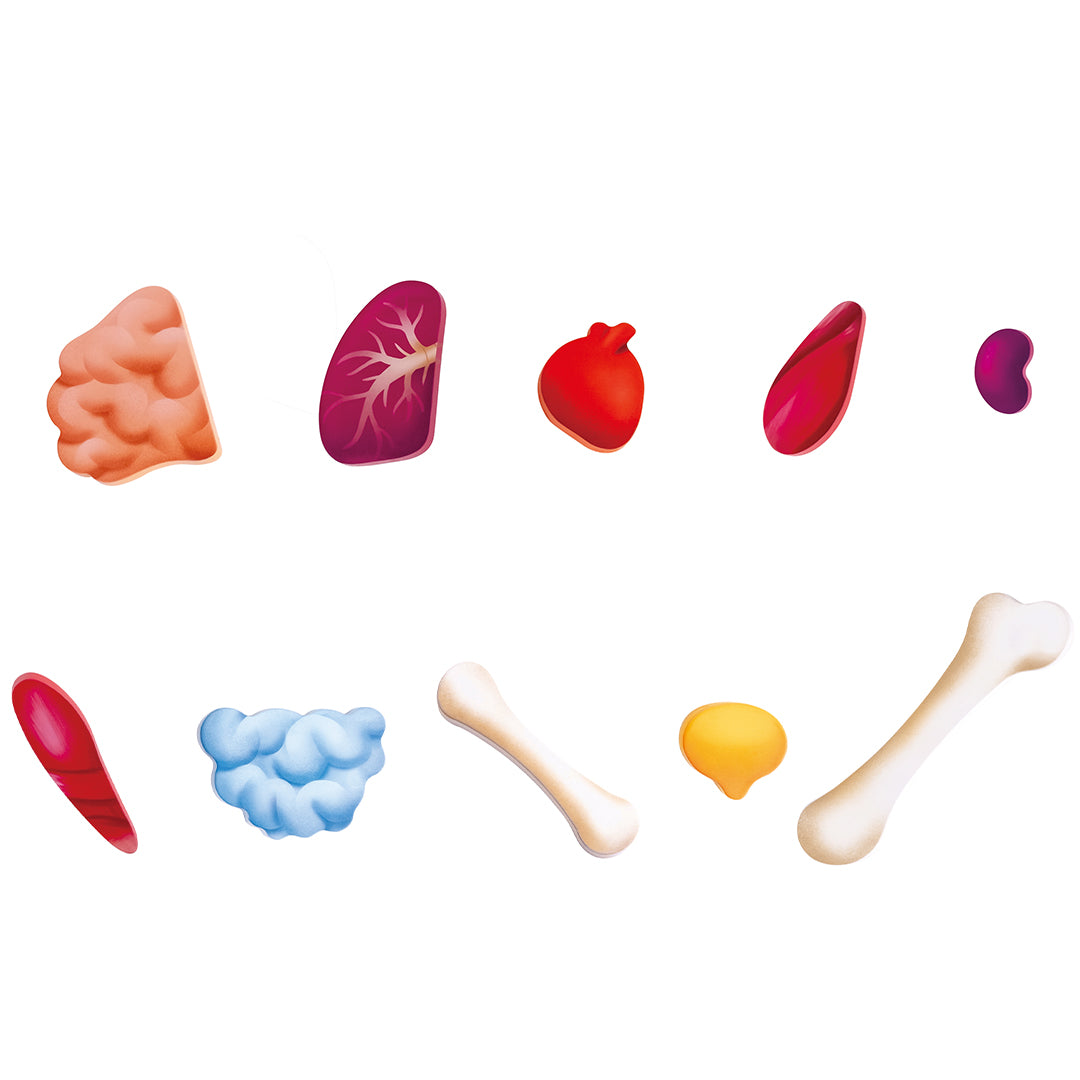 Hape puzzel menselijk lichaam - 60st