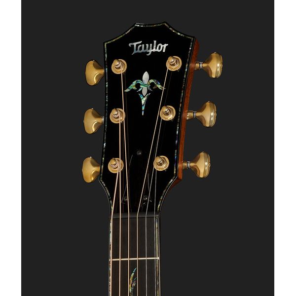 Taylor PS12ce 12 Fret Honduran RW