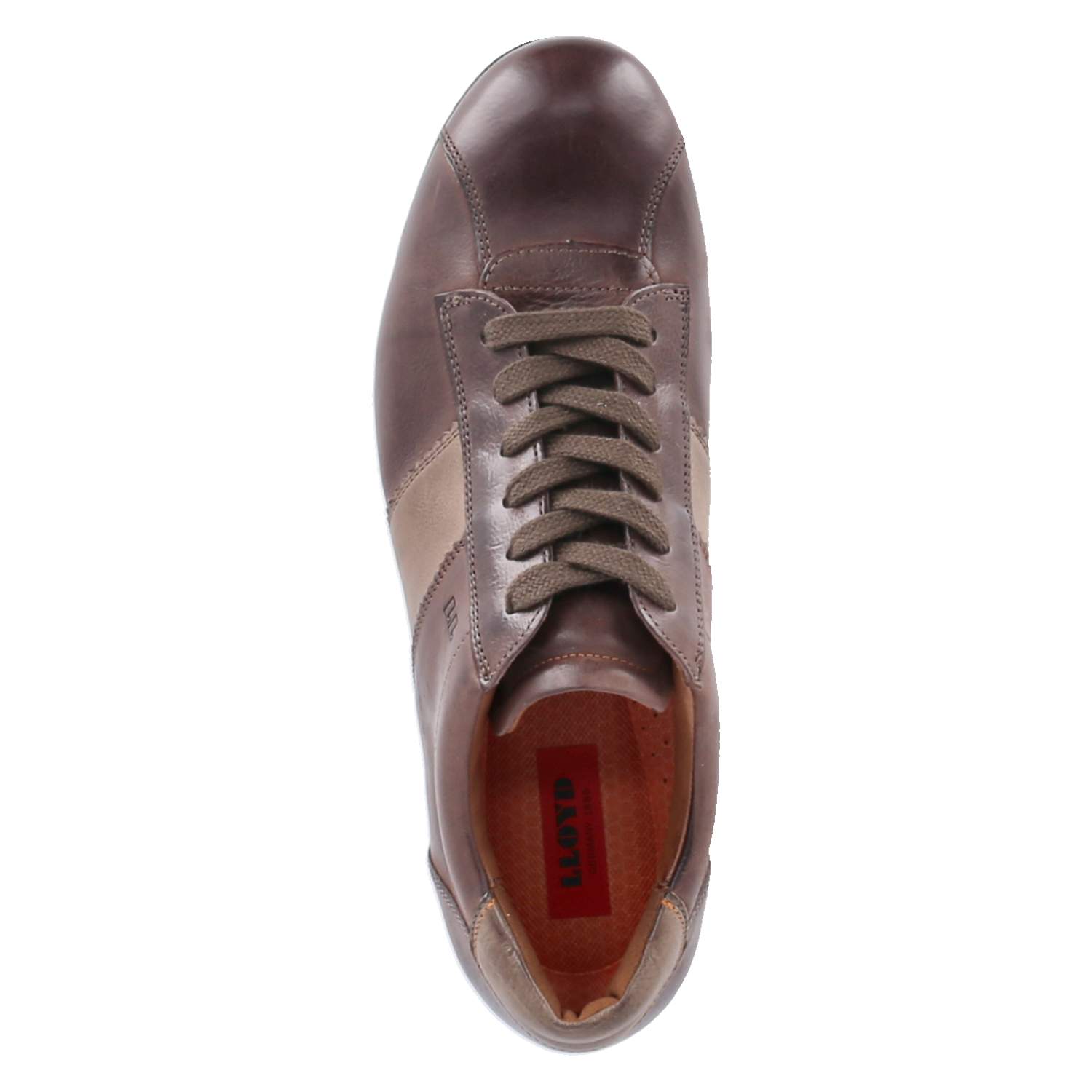 Lloyd Low Sneaker BARKER - ebony