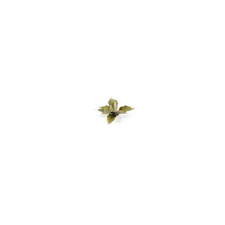 Gamer Grass Basis Gestaltung Pflanzen Plantain Lily, 57er Packung