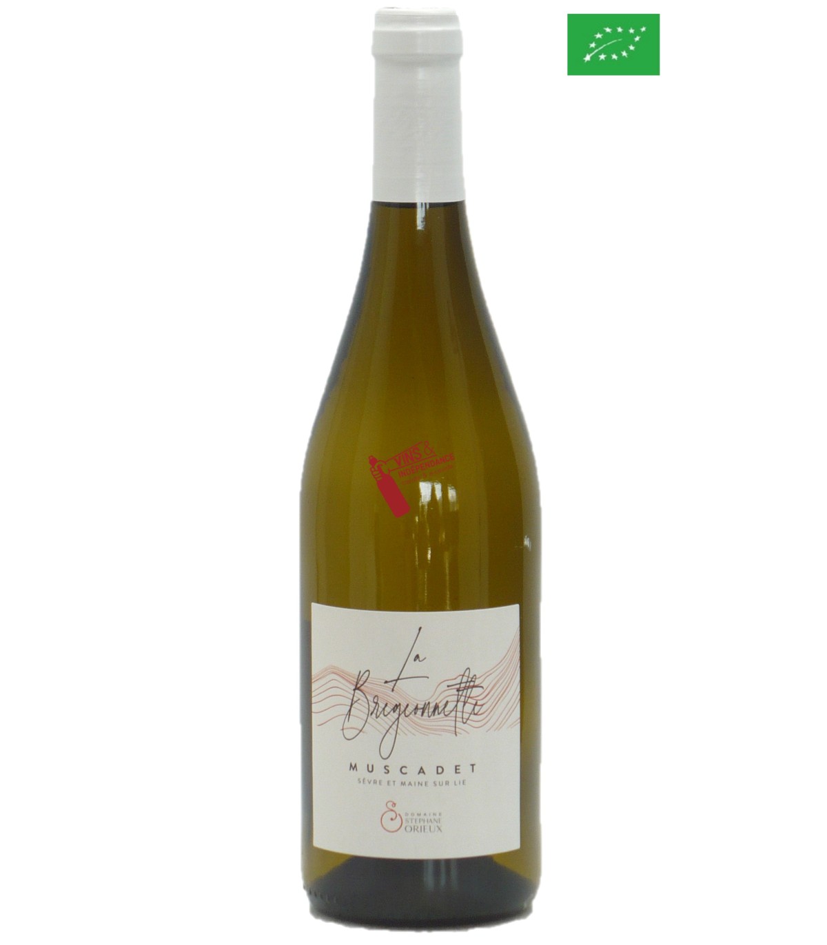 Domaine de la Brégeonnette Muscadet la Brégeonnette 2022