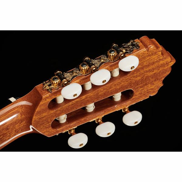 Alhambra 5P CT E2 incl.Gig Bag