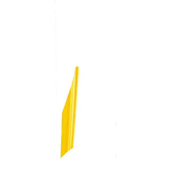 Interdentalbürste Angle Gr. 4