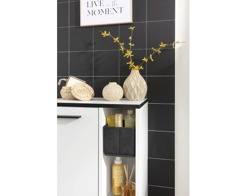 Middelhoge kast FACKELMANN TE-A BxHxD 470 x 942 mm x 320 mm Frontkleur wit mat 85923