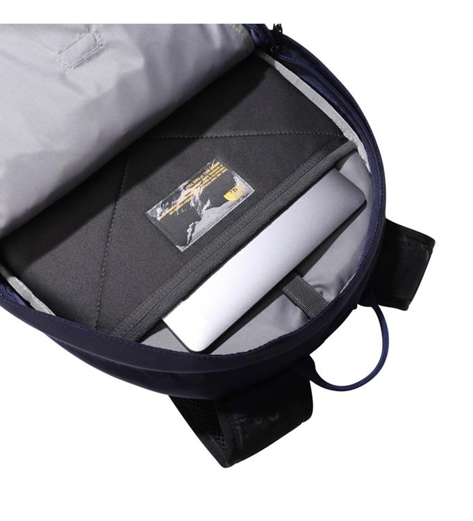 The North Face Borealis Classic Rugzak
