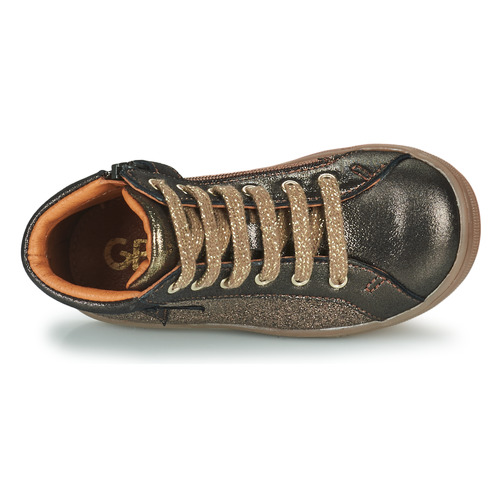 GBB - TADEA Oro