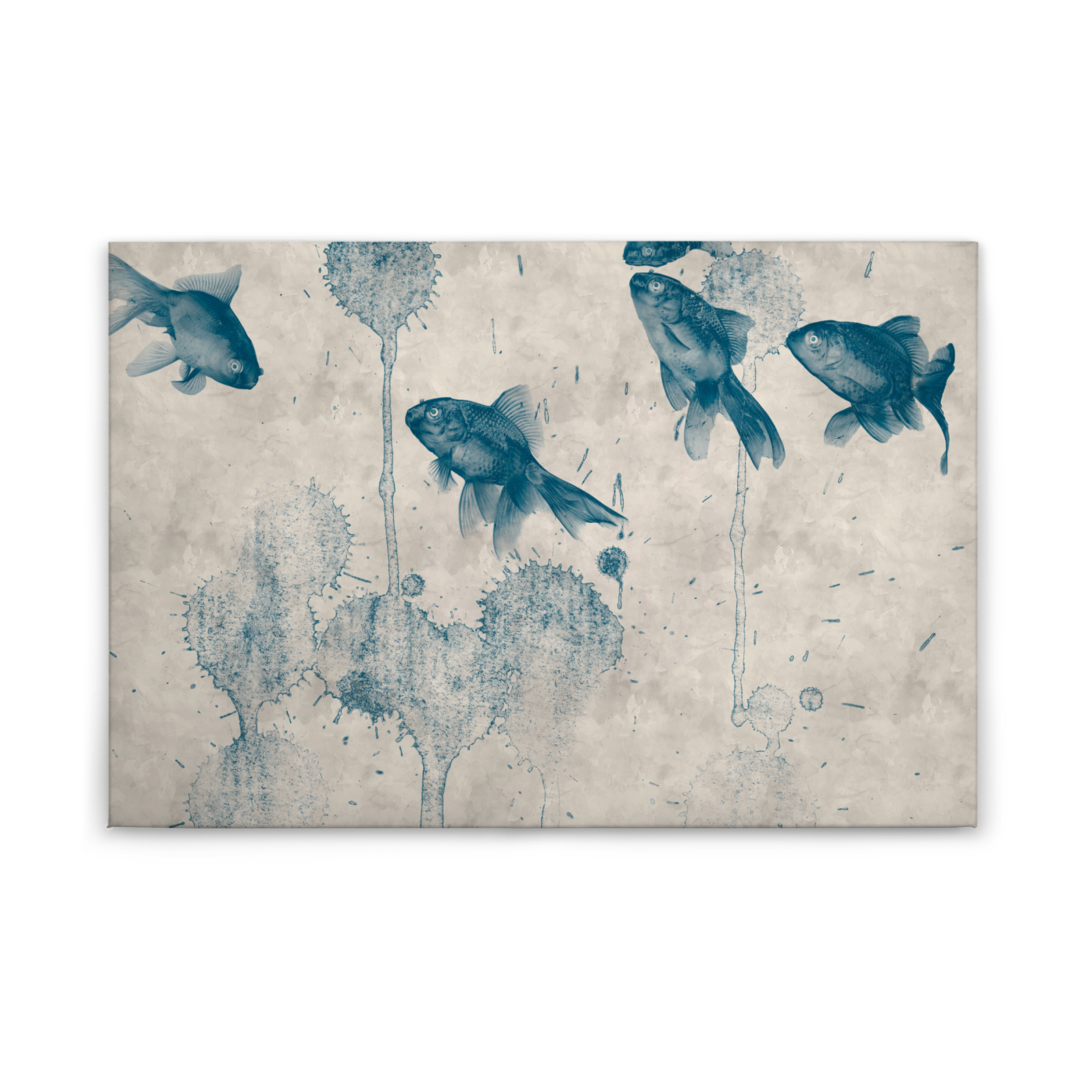 Leinwandbild FISCHE - blau-beige - 90x60 cm