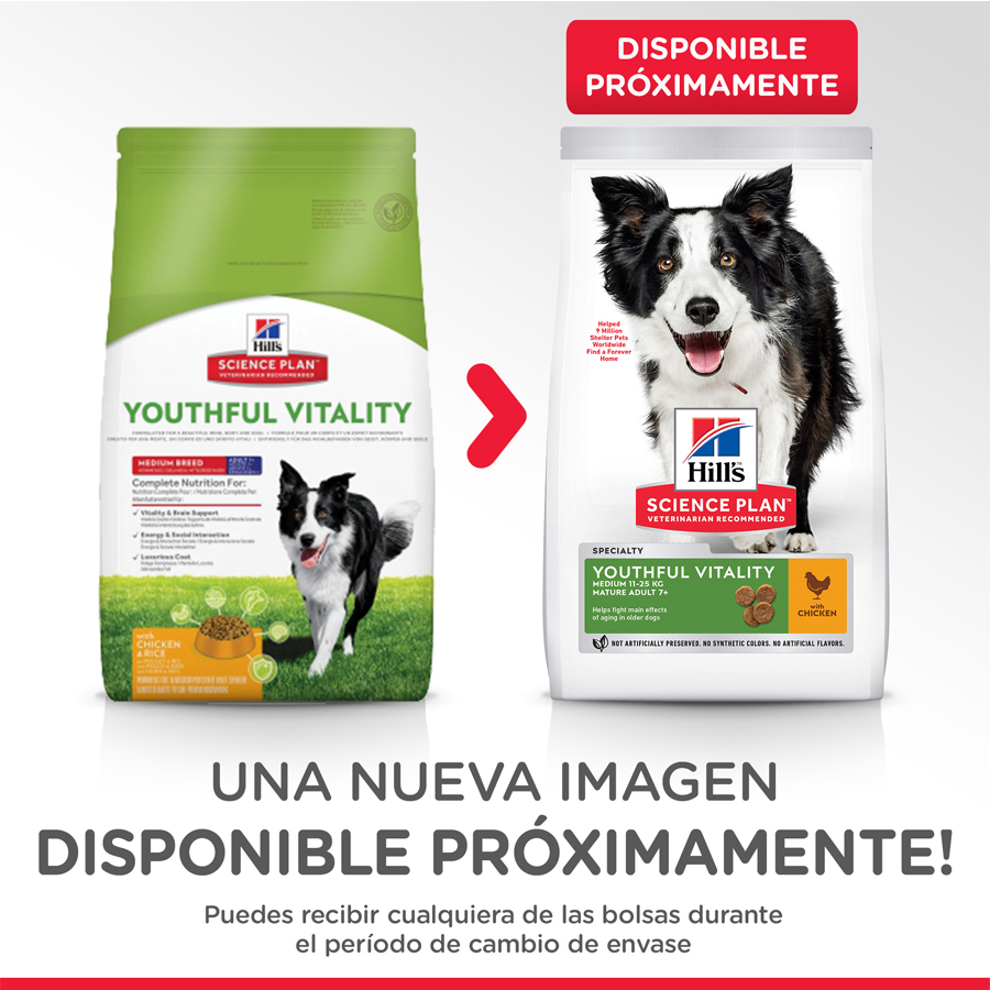 Hill's Science Plan Youthful Vitality Médio Adulto Frango para cachorros