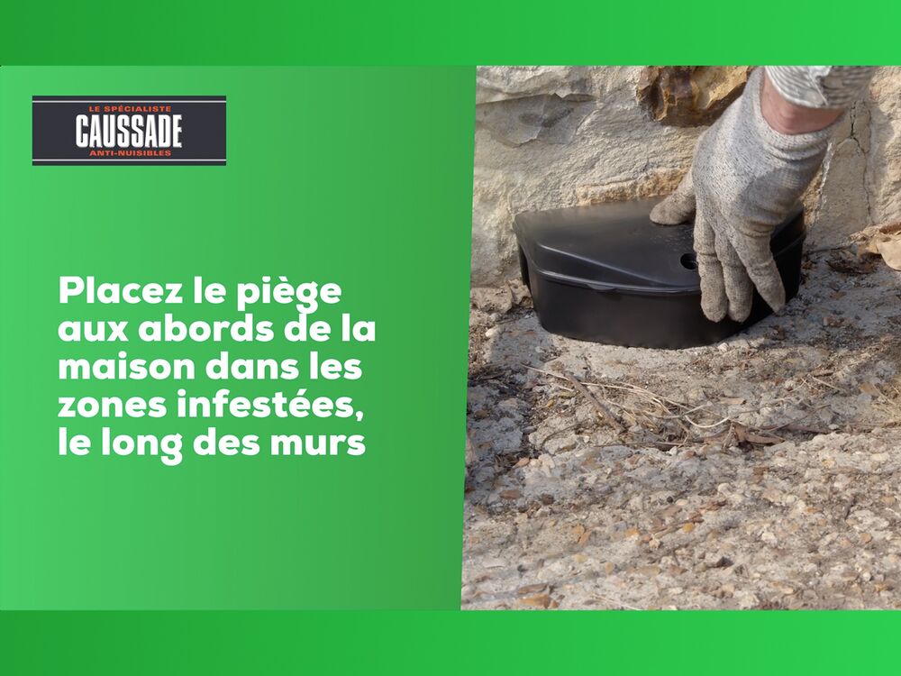 Anti rats lot de 2 boîtes raticide canadien pat'appât fortes infestati