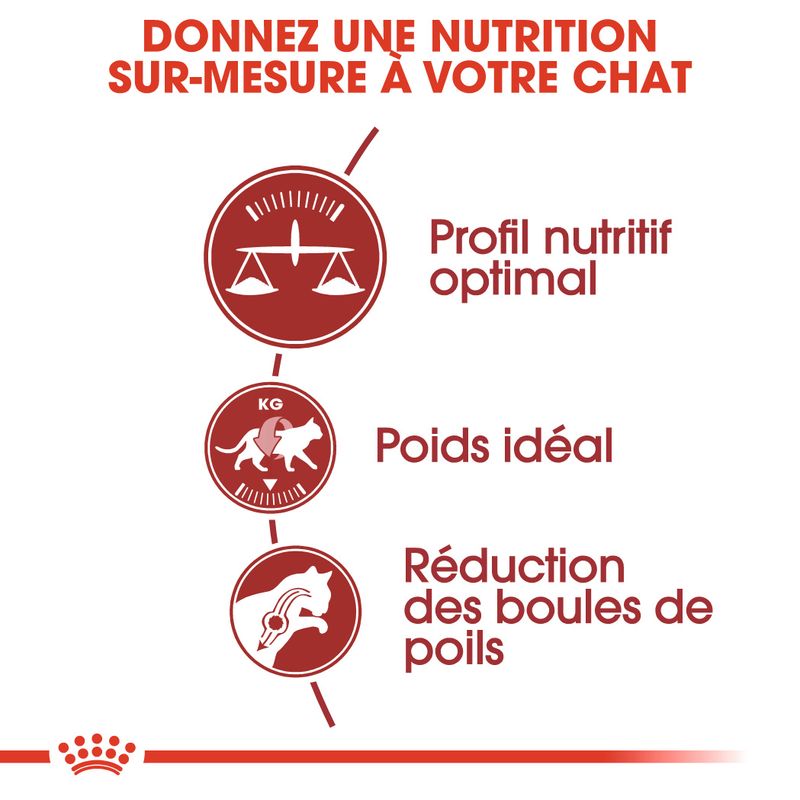 Royal Canin Regular Fit 32 à prix discount sur bitiba.fr