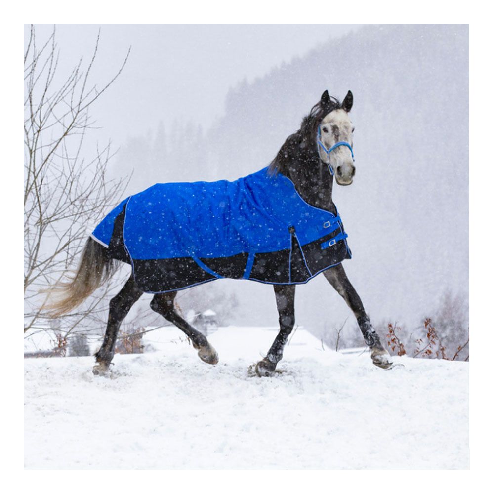 Equitheme TYREX 1200D AISANCE 50G - Couverture de paddock bleu/nr