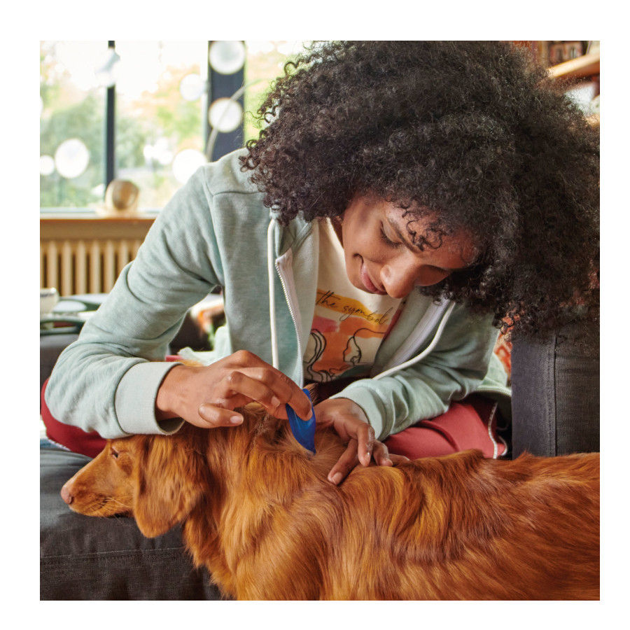 Pipetas Beaphar FiproTec para cães de raças pequenas