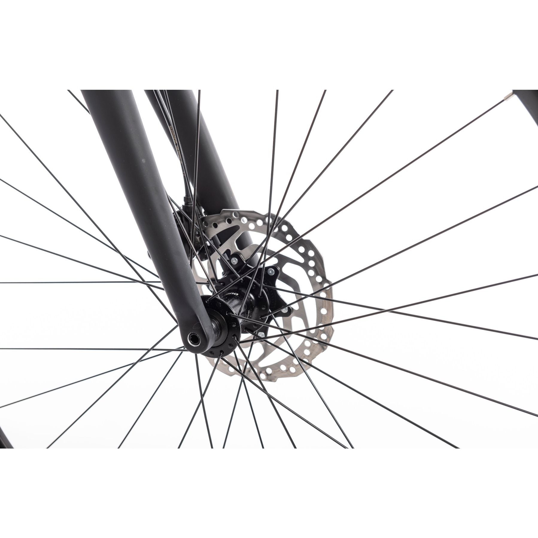 Sensa Modena LTD 105 Disc 2025