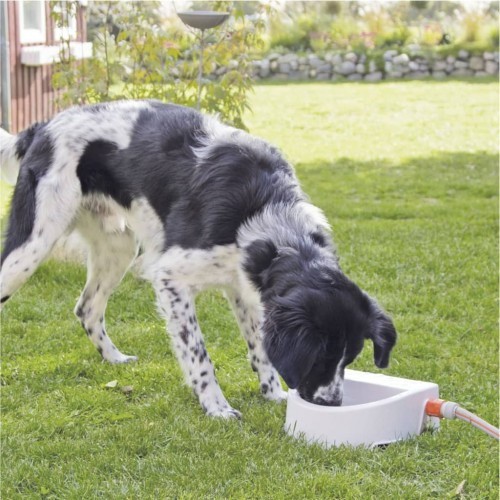 Dispensador automático de água para animais de estimação, branco