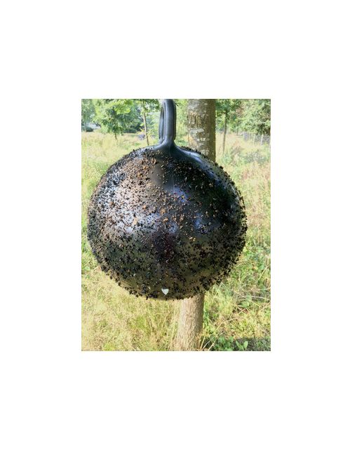 Horse Fly Trap Ball - Anti insect - Ø45 cm Zwart