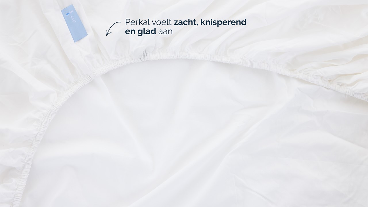Hoeslaken B Bright Perkal topper wit