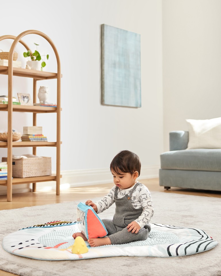 Skip Hop - Discoverosity Babygym