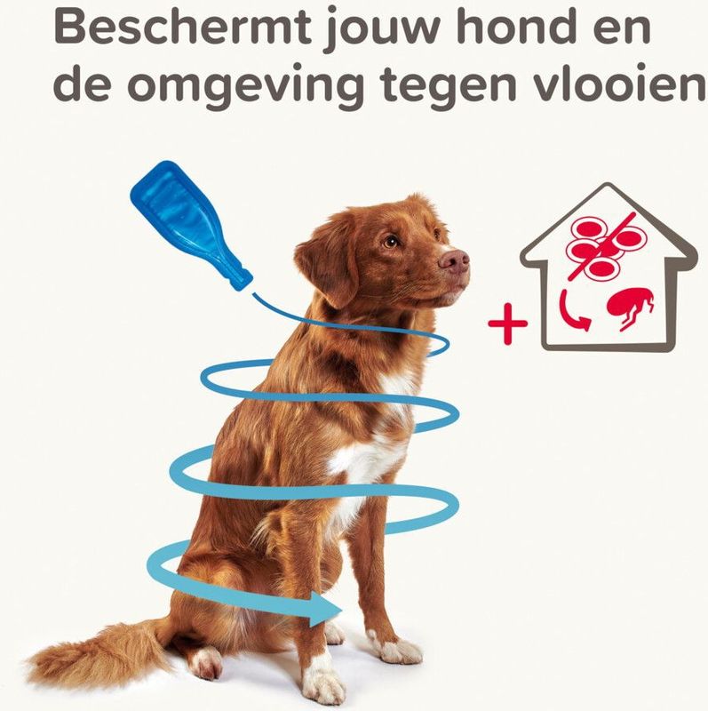 Beaphar - Combotec - Anti Vlooien en Teken Druppels - Hond 10-20 kg - 2 Pipetten