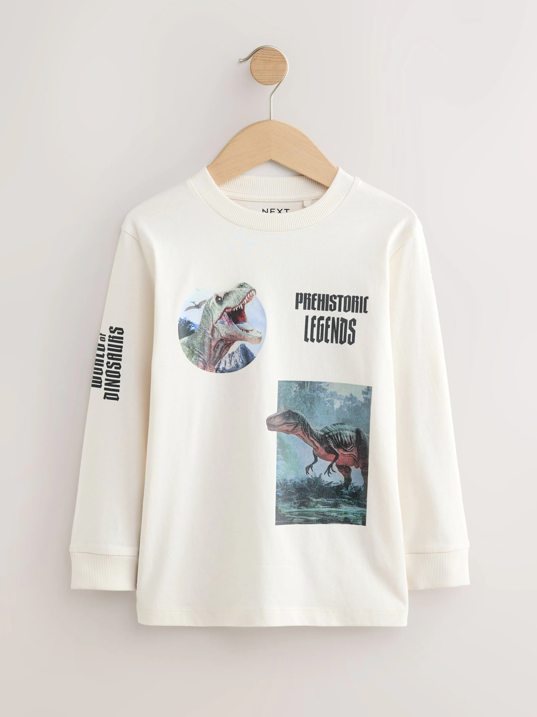 Marineblauw/blauw/ecru dinosaurus - Bedrukte T-shirts met lange mouwen verpakking van 3 (3 - 16 jr)