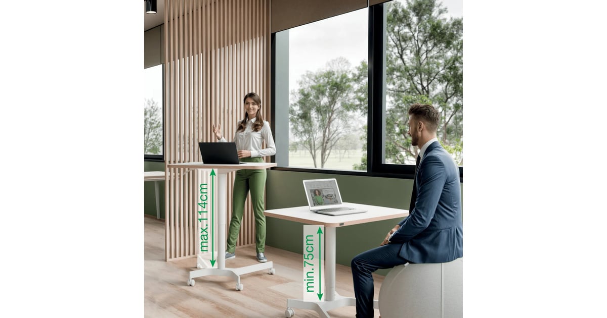 LeitzErgo Mobiel Zit-Sta Bureau (80x60 cm) tafel  (Wit)
