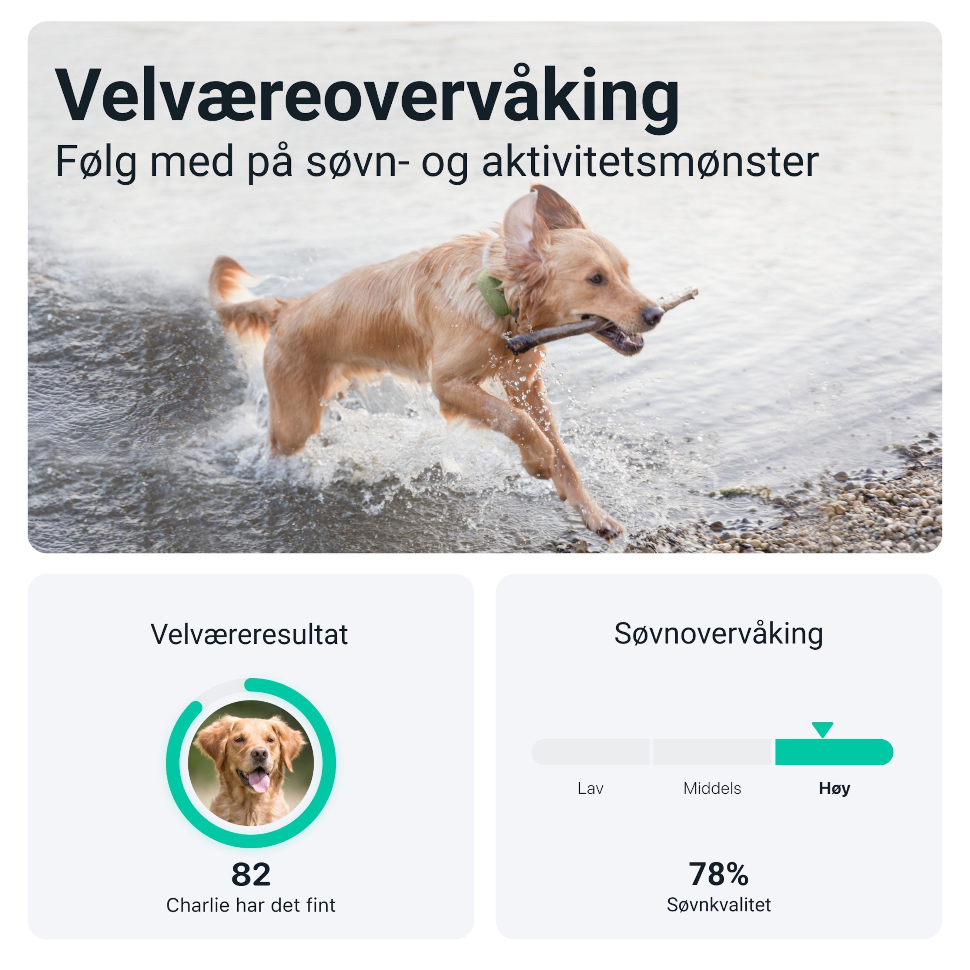 Tractive DOG XL GPS-sporingsbrikke for hund