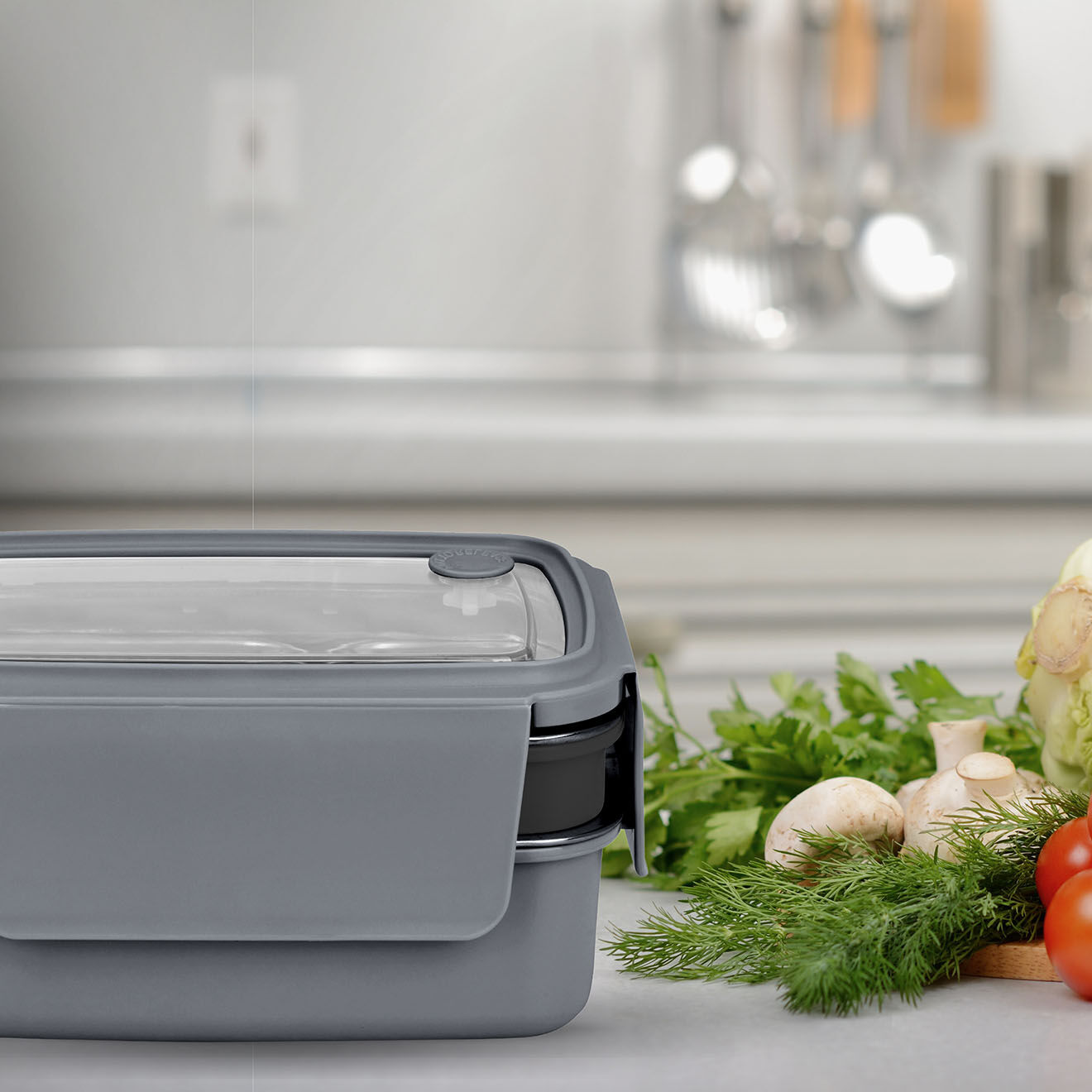 Livoo Lunch box isotherme transparente - 17.6x13.2x6.4 cm
