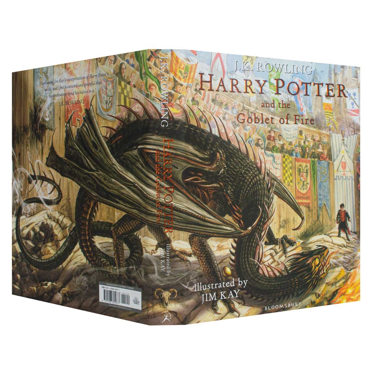 Harry Potter and the Goblet of Fire: Illustrated Edition (Hardback)