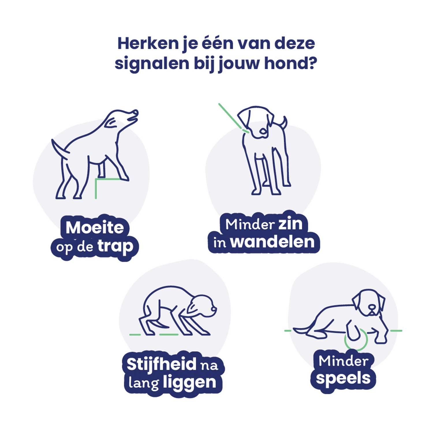 Flexadin Advanced Original Hond