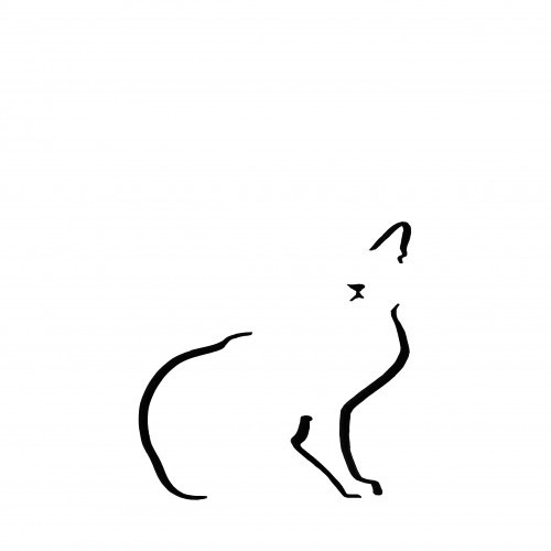 Ilustração de um gato doméstico, tamanho A4, sem moldura, branco.