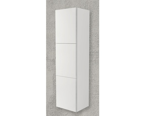 Hoge kast Baden Haus, 45 cm breed, wit hoogglans, volledig gemonteerd