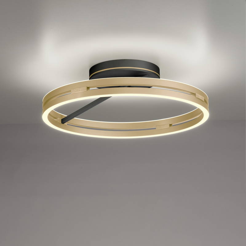 Paul Neuhaus Deckenleuchte PURE LOOP
