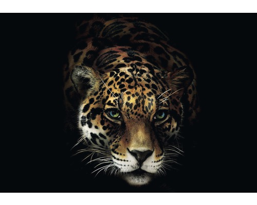 Vliesbehang 10148V4 Jaguar 2-delige set 254 x 184 cm