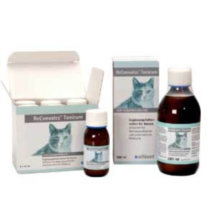 Reconvales Tonicum für Katzen, 6X45 ml